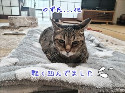 060607