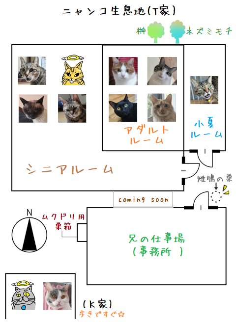 相関図.改2026030501