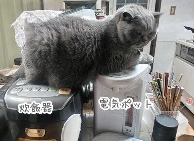 huyujitaku112008