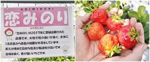 itigo041718