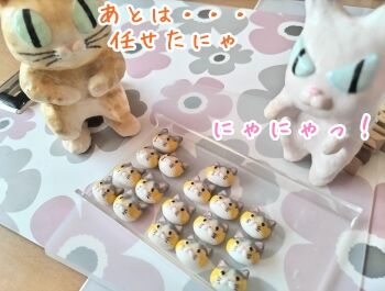DSC_0412~2 (1)
