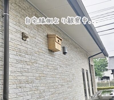 mukudori11