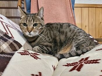 猫ヒゲ納め123004
