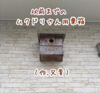 mukudori07