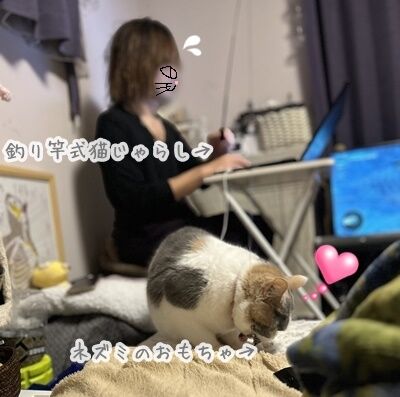 スツール19