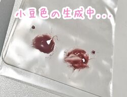 ハンドメイド0930.02