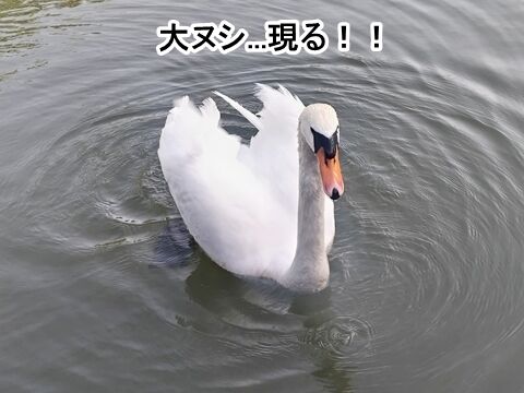 052527