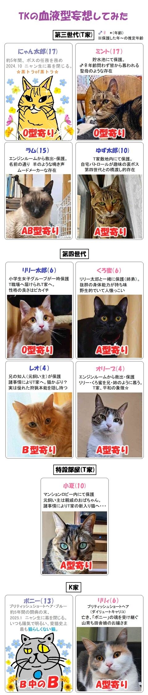 hogoneko血液型紹介2026.021302
