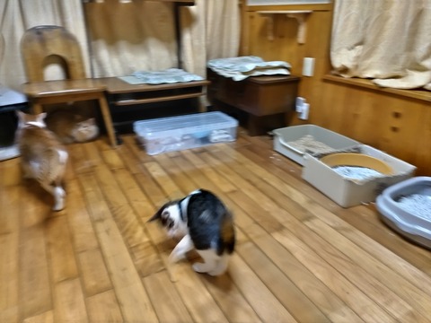 .trashed-1676641643-DSC_1837[1]