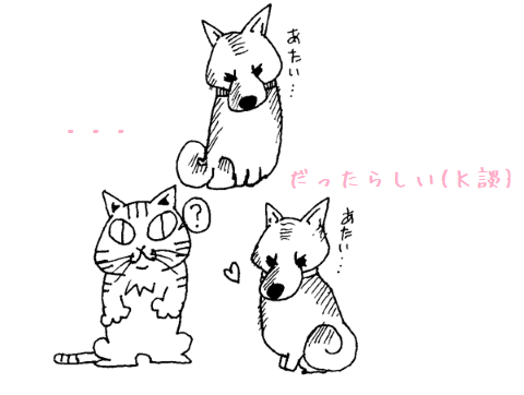 060703