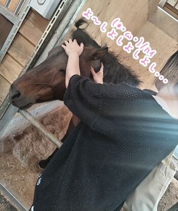 GALLOP.03