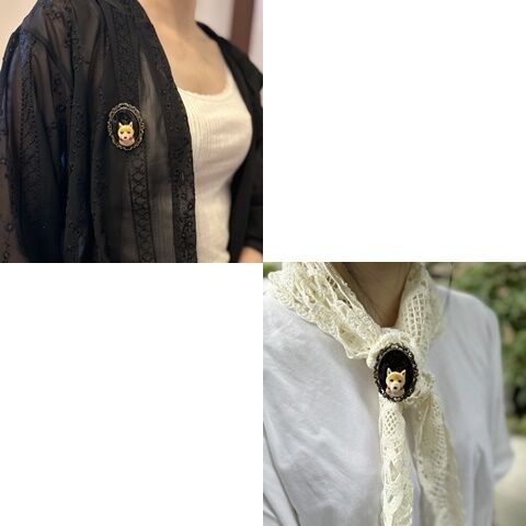 新作販売12