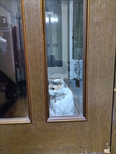 .trashed-1678409309-DSC_2215[1]