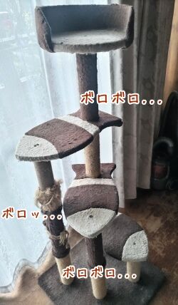 手作りキャットタワー✨ - ka_lueさんの猫日記