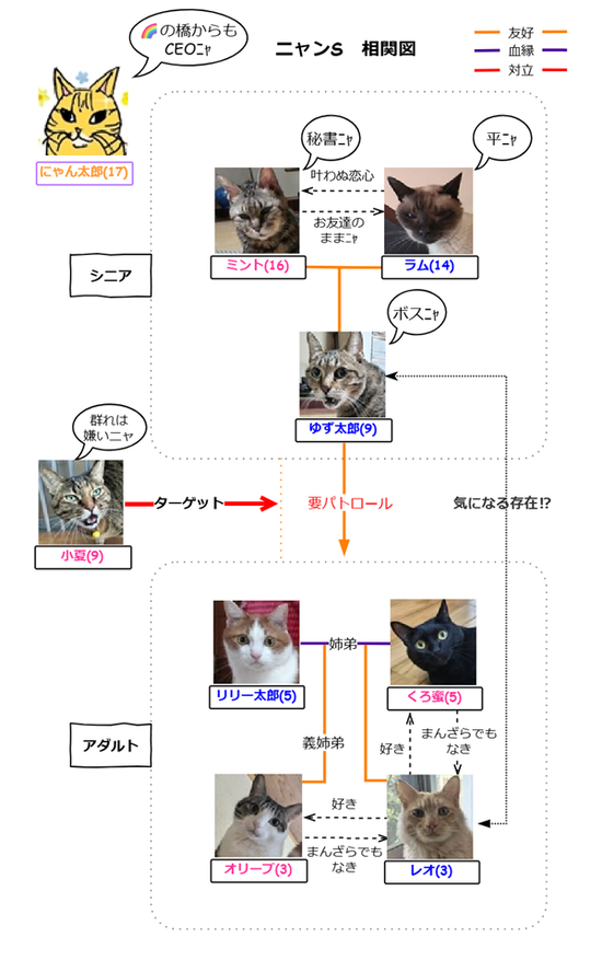 相関図.改2025072802