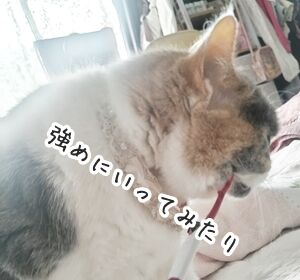 070811