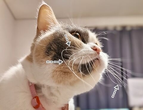 040806