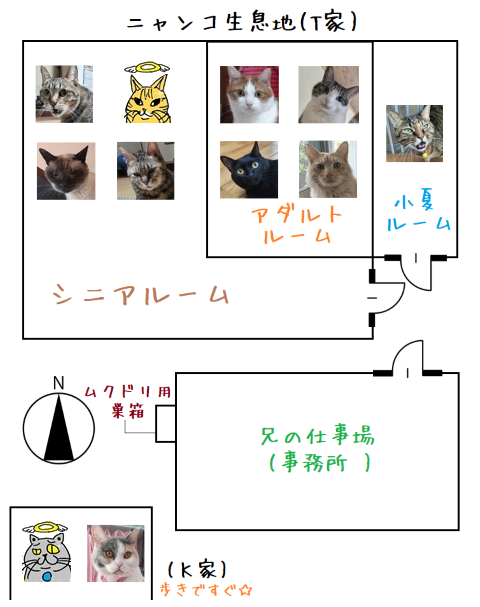 相関図.改202504blog01