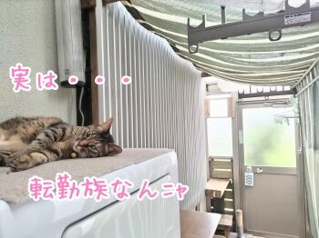 DSC_9999~2 (1)