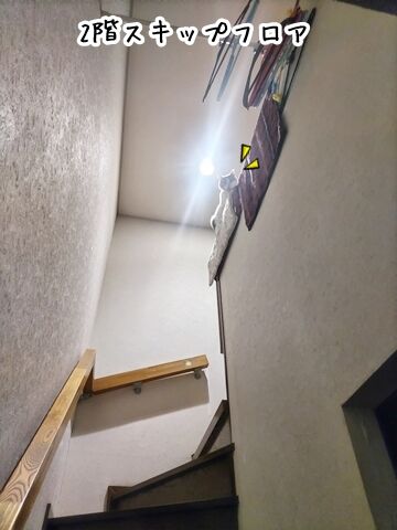 030313
