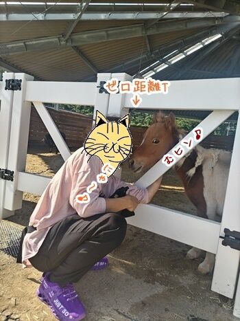 GALLOP.10