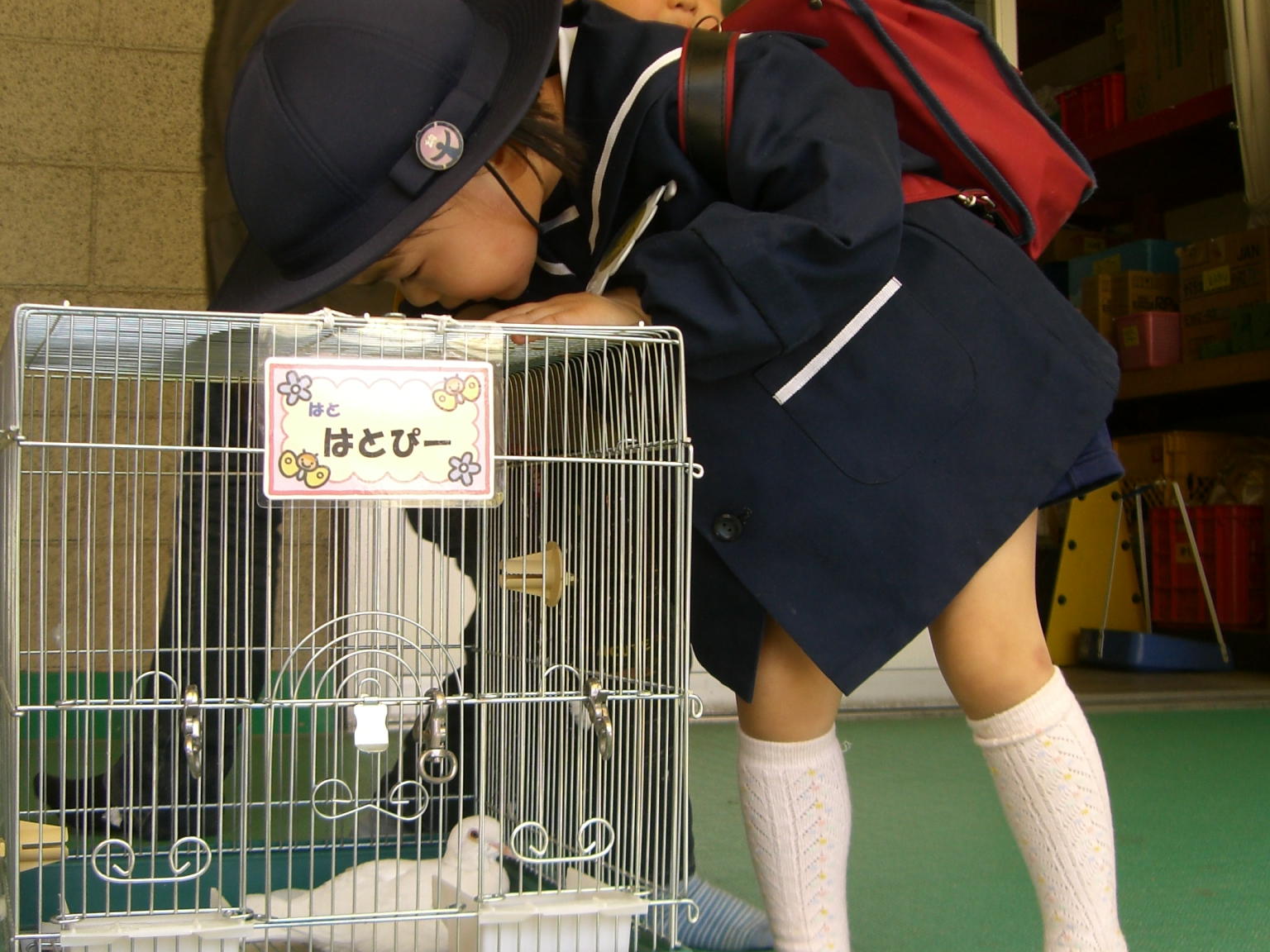 おこりんぼじゃないママ 我が家のプチ事件簿 おこりんぼじゃないママ 我が家のプチ事件簿