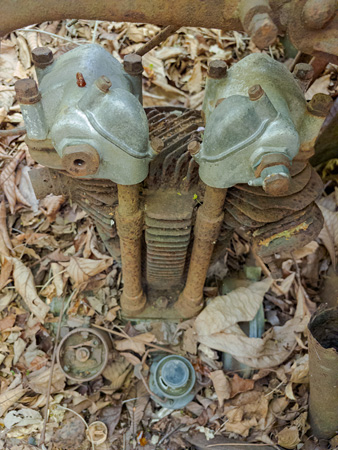 25043013