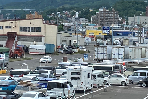 23081808