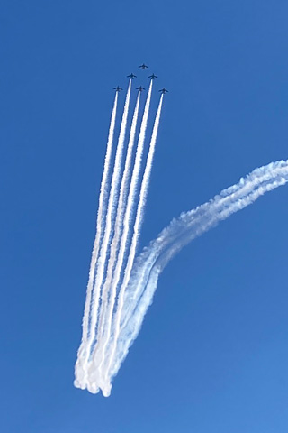23103004