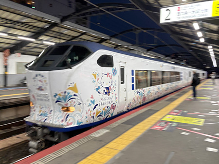 25123006