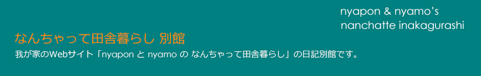 販売用Nintendo Switch Joy-Conネオンブルー/ ネオンレッド