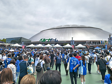 26053101