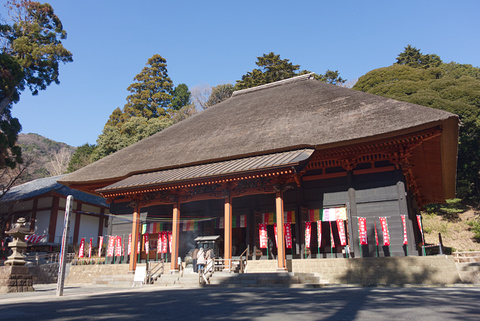 22011609