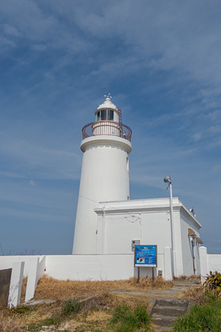 25031408