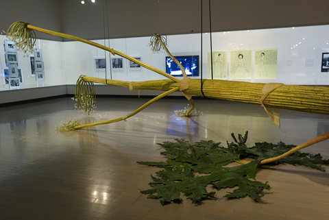 20090504