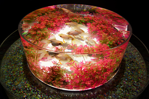 20100306