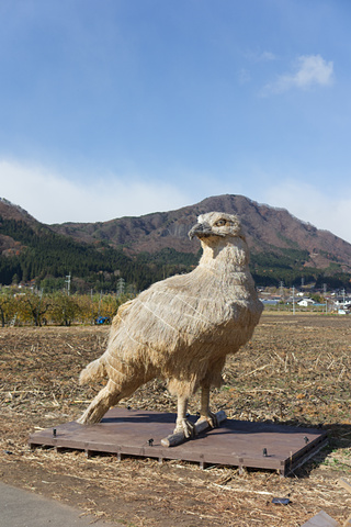 20112209