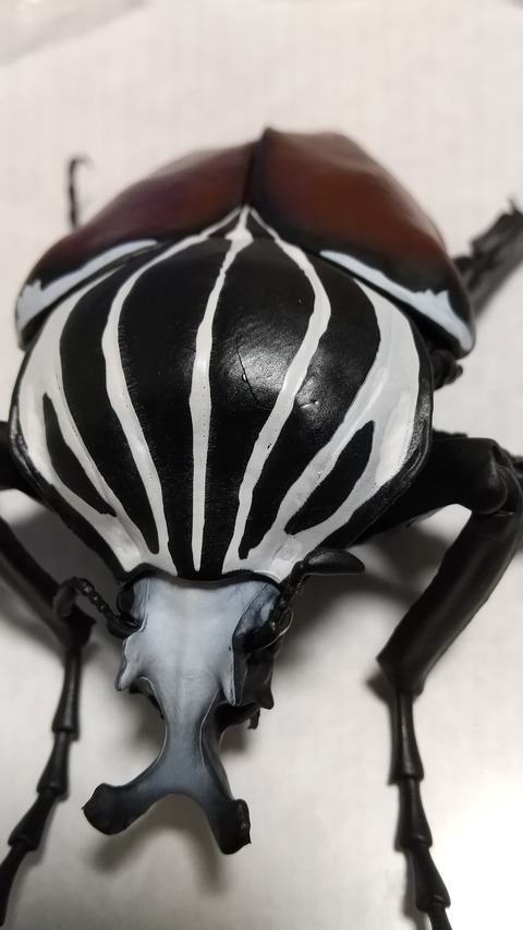 かぶとむし　★プロフ必読★  いきもの大図鑑 かぶとむし09｜ガシャポンオフィシャルサイト