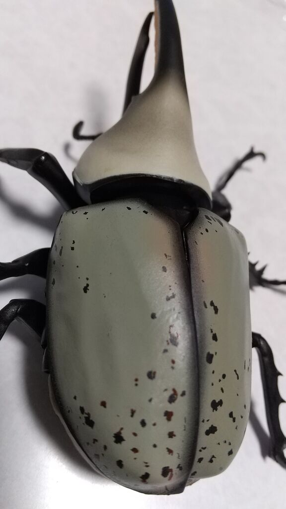 かぶとむし　★プロフ必読★  いきもの大図鑑 かぶとむし03 感想 : nyasiiの光と闇の観光ブログ