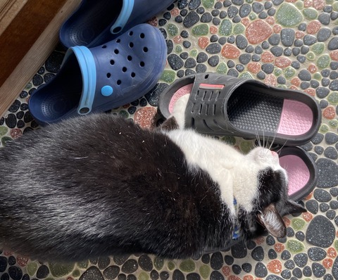 B543EC4A-39DA-4763-9DCD-2D8D2E73562E