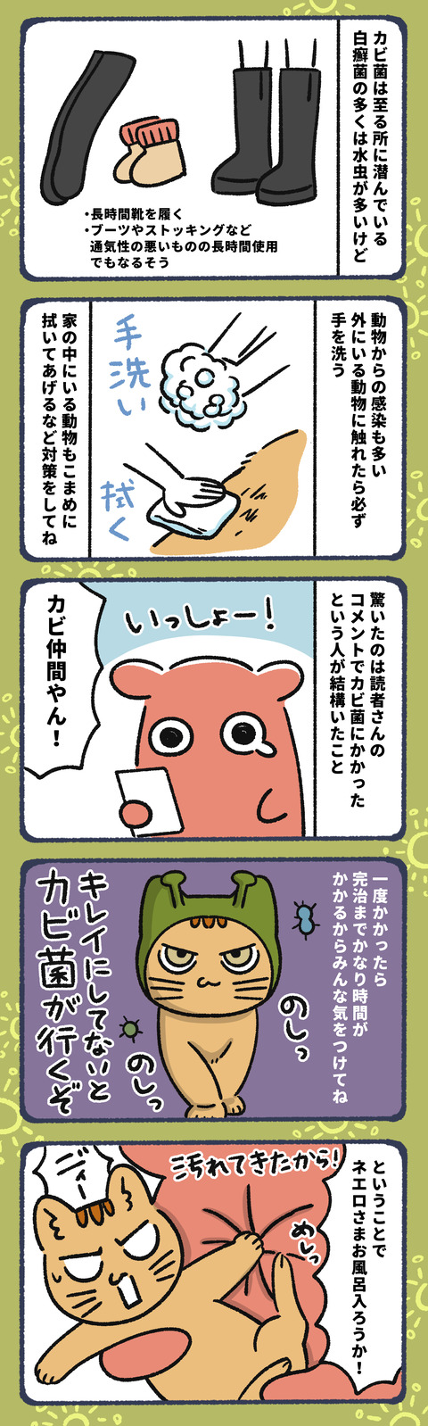 大好きなネコにカビ菌もらった12