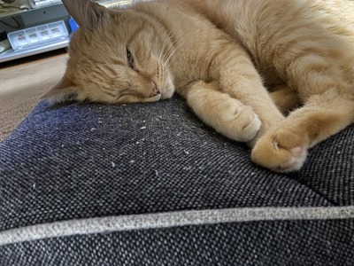 F51A988B-9C1E-4F7A-9309-1955696CD379