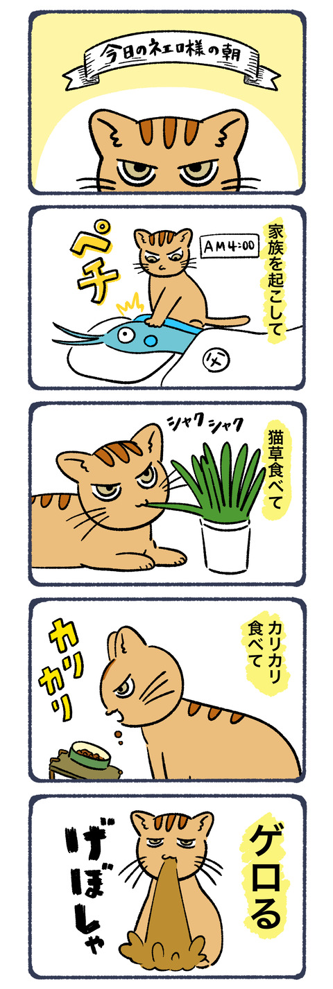 今日のネエロさまの朝
