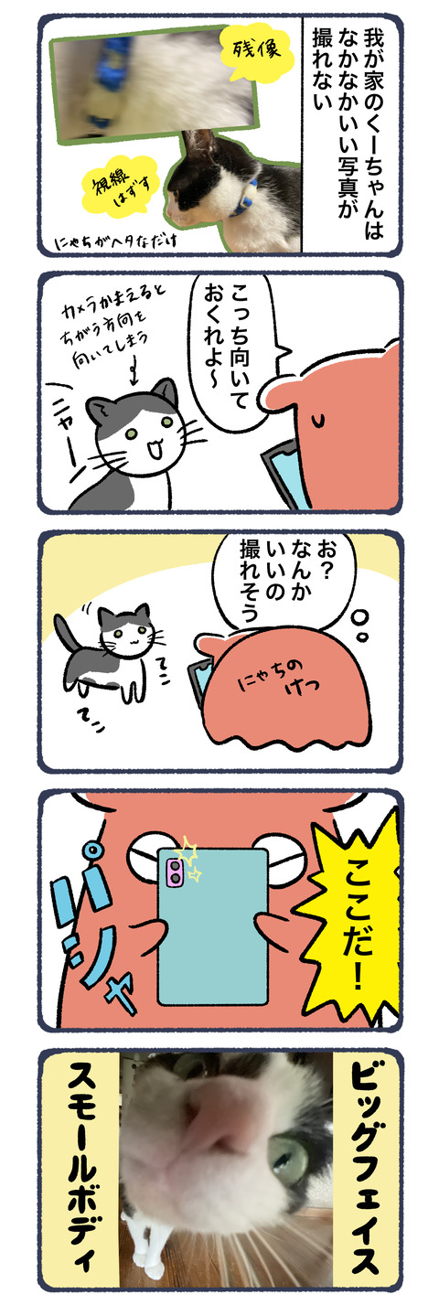 魚眼レンズなんて使ったっけ？