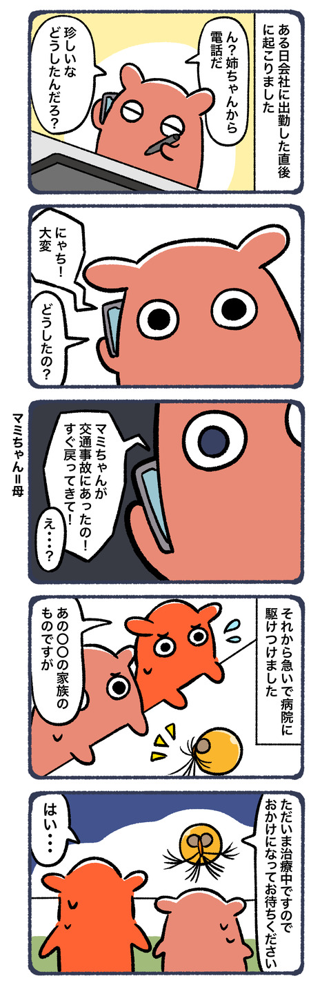 母が交通事故にあった話1