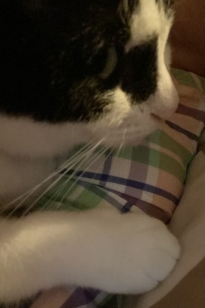 0F072412-0092-4B32-ACAF-F37CE3ECAFB0