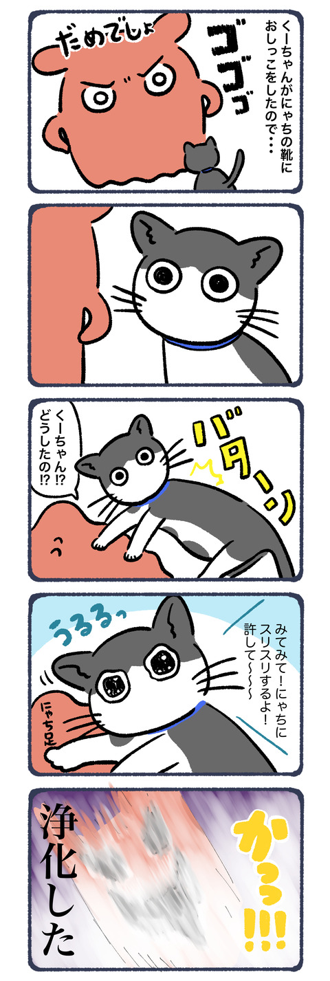 飼い主のご機嫌とり