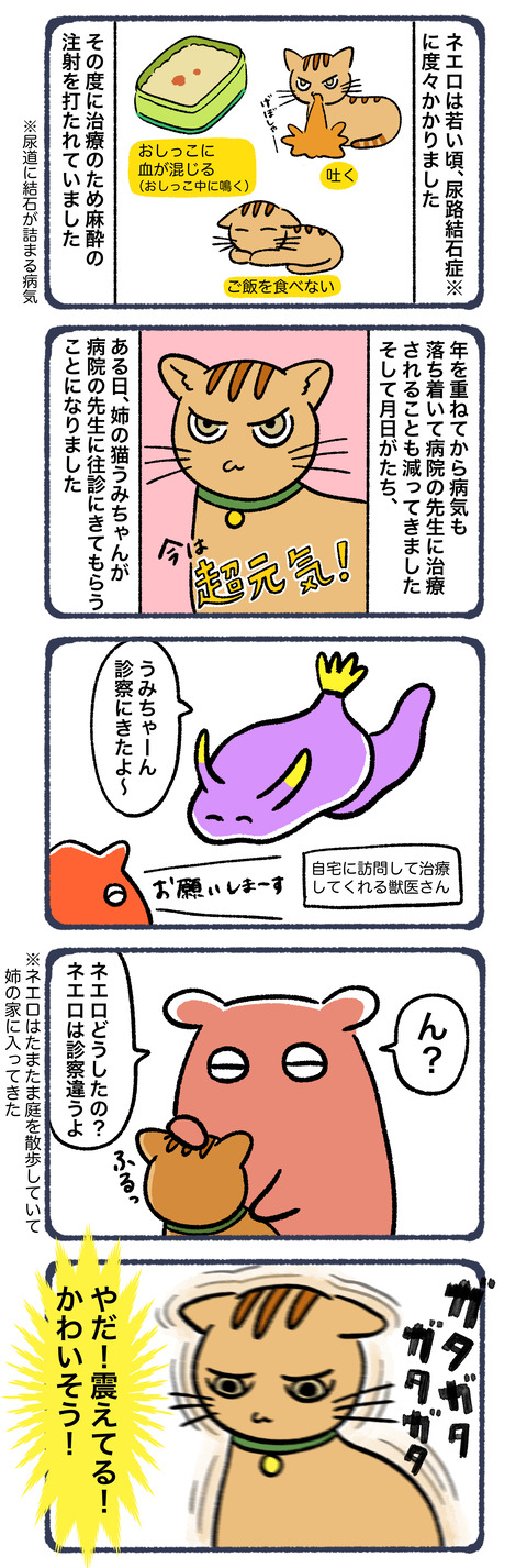 注射って嫌だよね