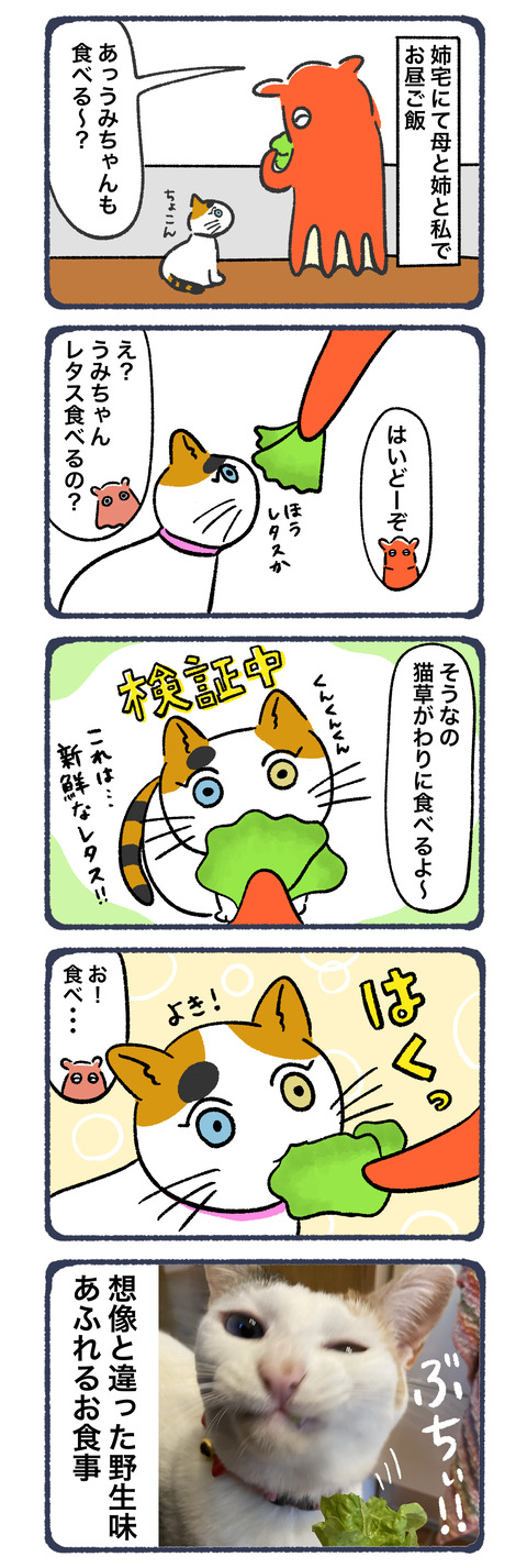 急に野生み出るやん