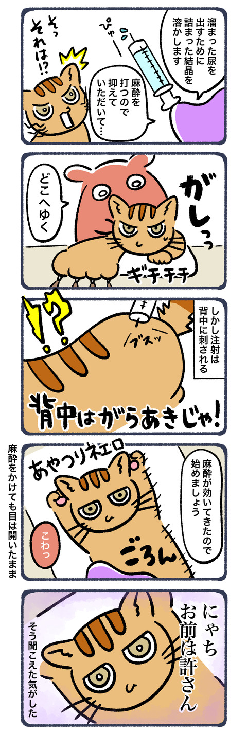 尿路結石3